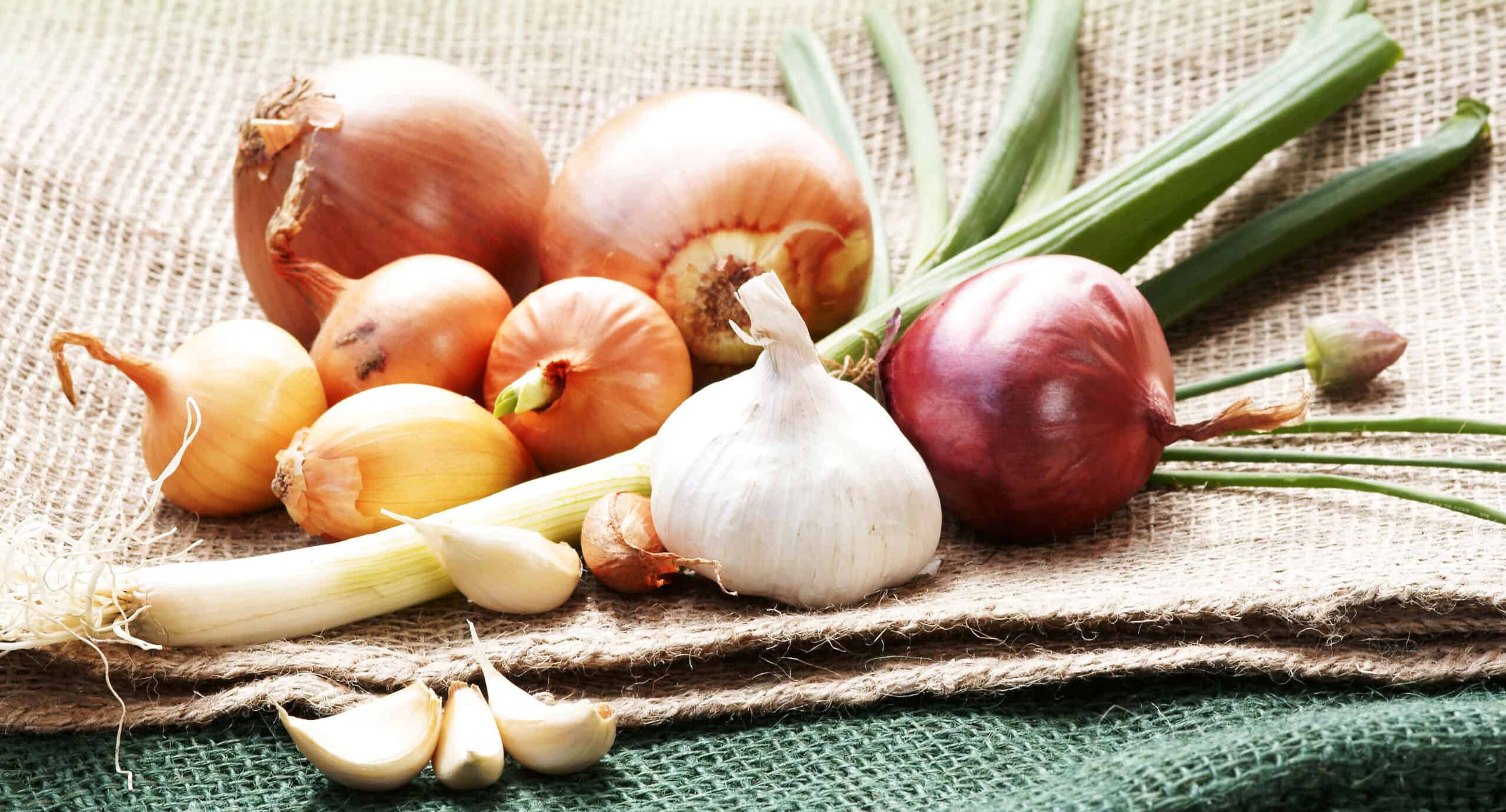 five-pungent-spices-ingredients-vegetarian