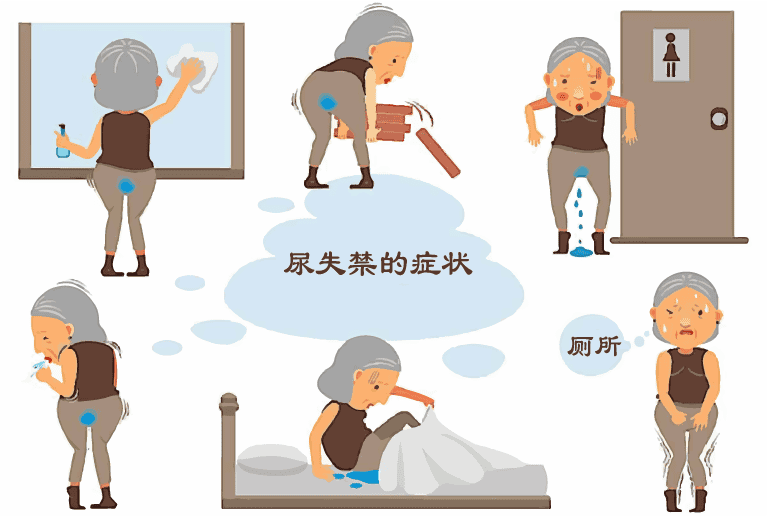 老人尿失禁的5大类型及原因！这样运动和生活调整改善症状