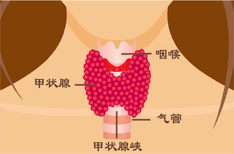 diet-guide-for-hypothyroidism
