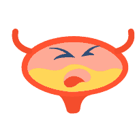其他泌尿问题
