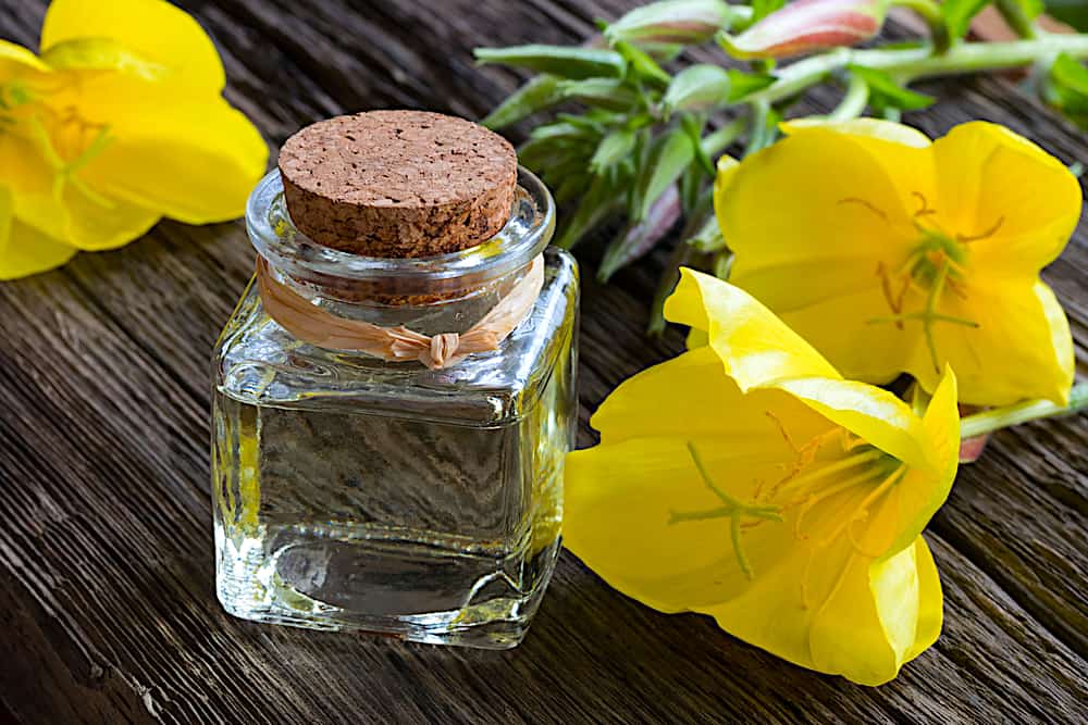 main-uses-and-benefits-of-evening-primrose-oil
