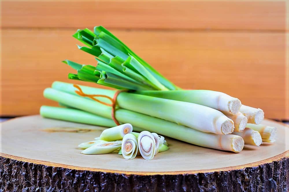 complete-overview-of-its-common-uses-of-lemongrass