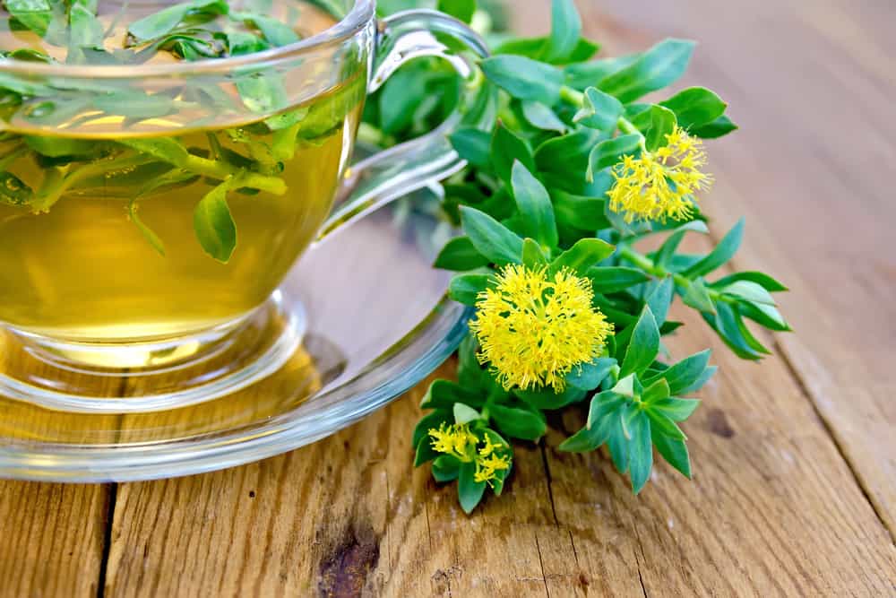 main-uses-of-rhodiola