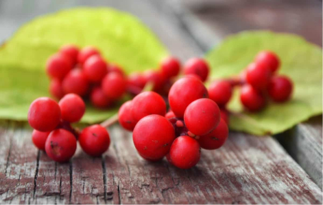 main-health-benefits-of-schisandra