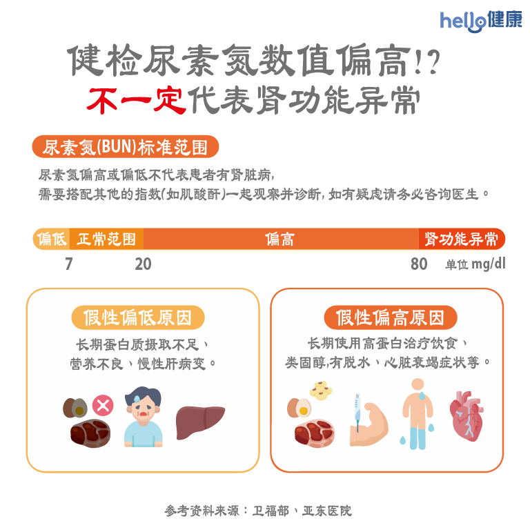 尿素氮数值偏高偏低？BUN正常值-1024x1024