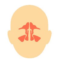 鼻子相关症状