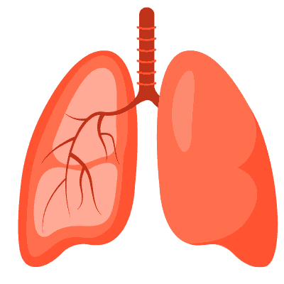 呼吸道健康