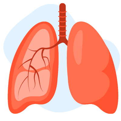 呼吸道健康