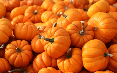 health-benefits-of-pumpkin