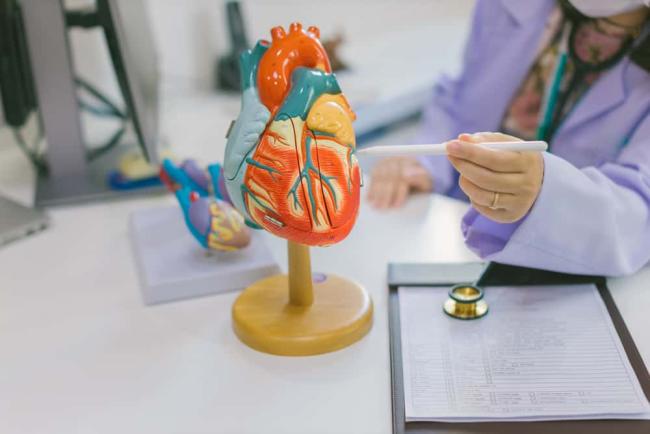 肥厚型与扩张型心肌病变，原因、类型、症状、诊断与治疗