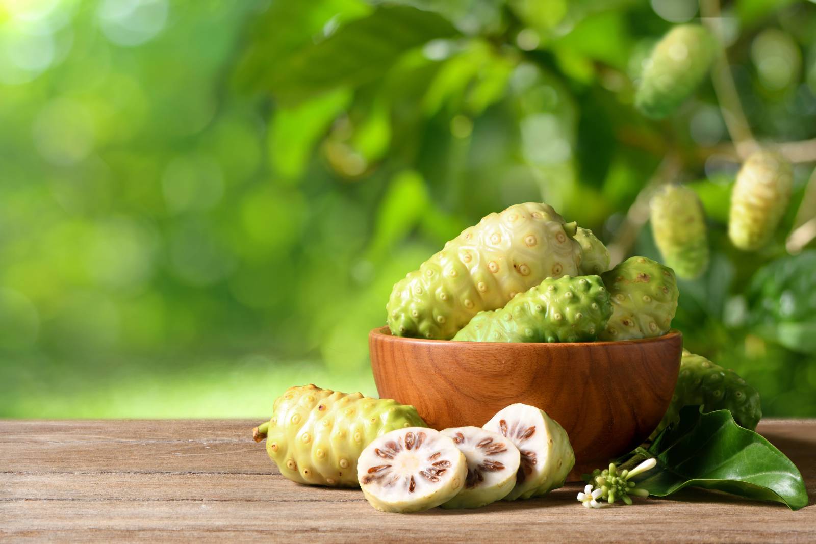 everything-you-need-to-know-about-noni