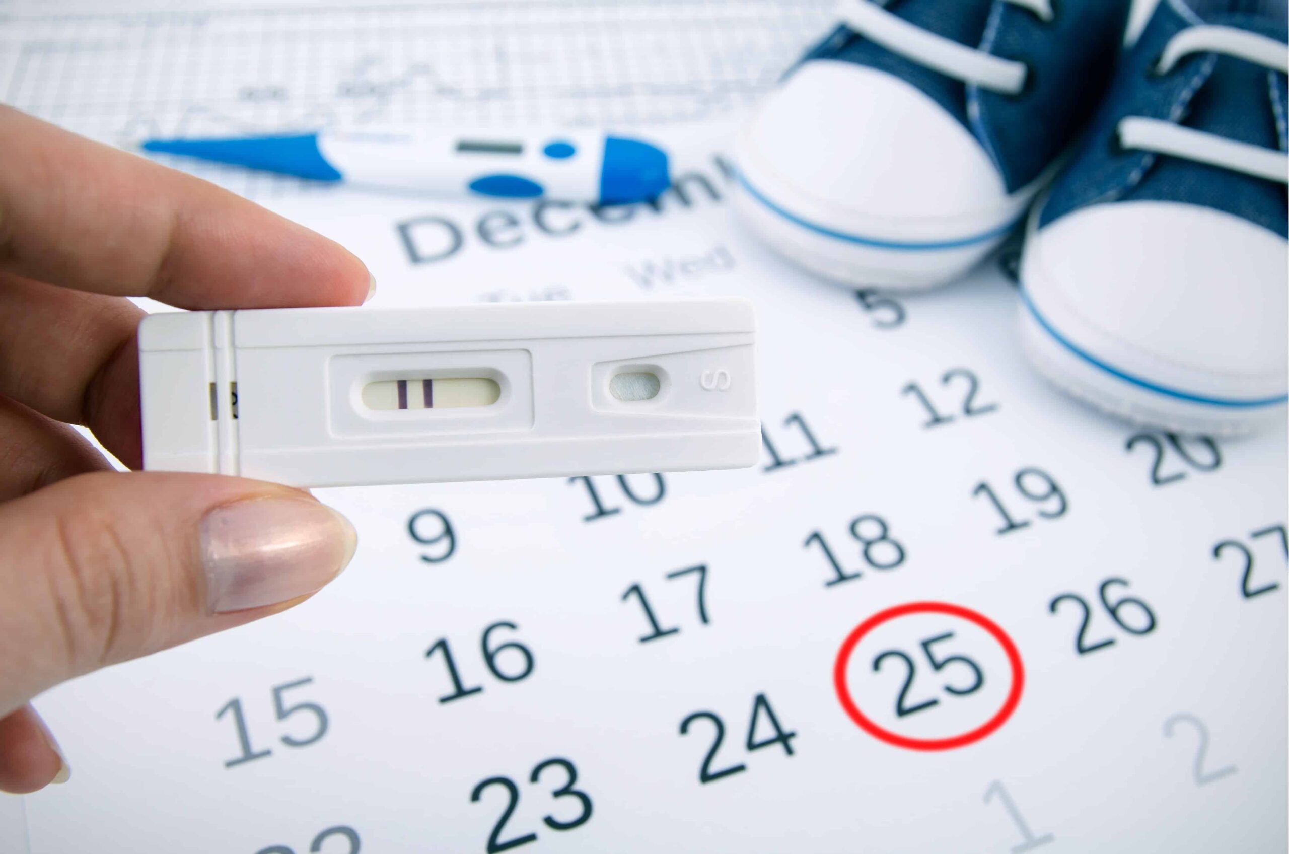understanding-ovulation
