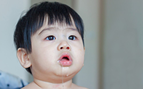 唾液的功能与常见疾病：分泌过多或过少皆不健康