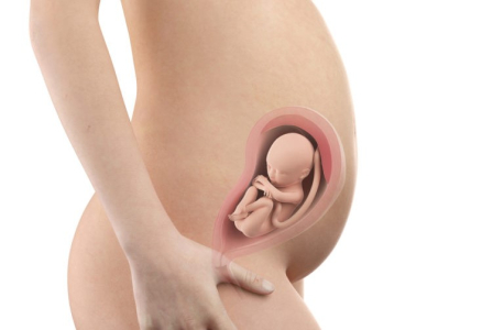 pregnancy-week-twenty-seventh