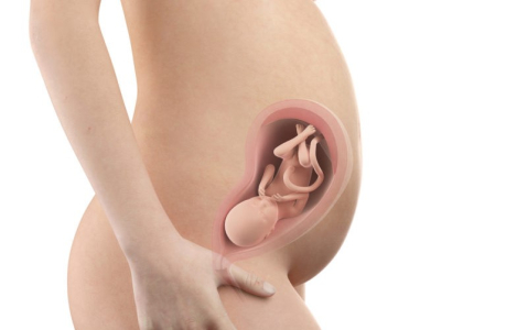pregnancy-week-twenty-eighth