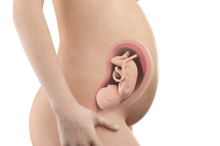 pregnancy-week-twenty-ninth