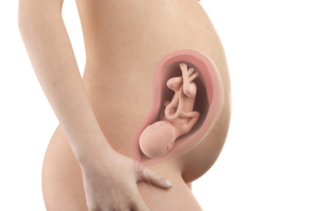 pregnancy-week-thirtieth