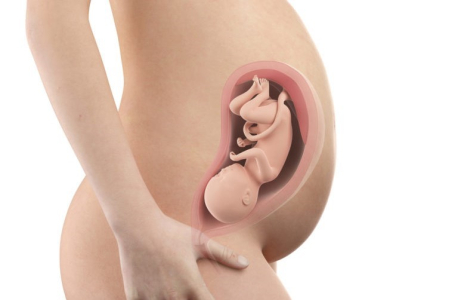 怀孕第31周：假性宫缩开始 留意早产征兆