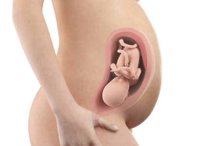 pregnancy-week-thirty-second
