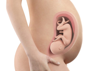 pregnancy-week-thirty-third