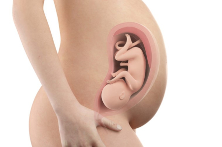 pregnancy-week-thirty-fourth