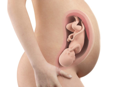 怀孕第35周：子宫不断膨胀压迫到体内的其他器官 致肠胃不适