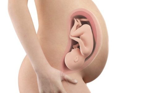 pregnancy-week-thirty-sixth