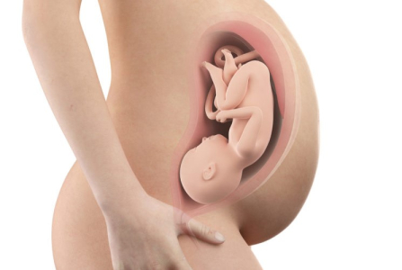 pregnancy-week-thirty-ninth