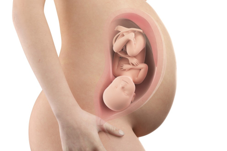 pregnancy-week-fourty-first