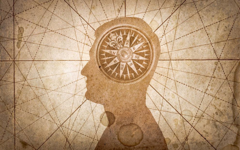 是不是觉得好像在哪里看过？这就是所谓的“既视感”