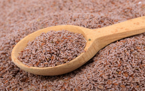 the-benefits-of-blond-psyllium