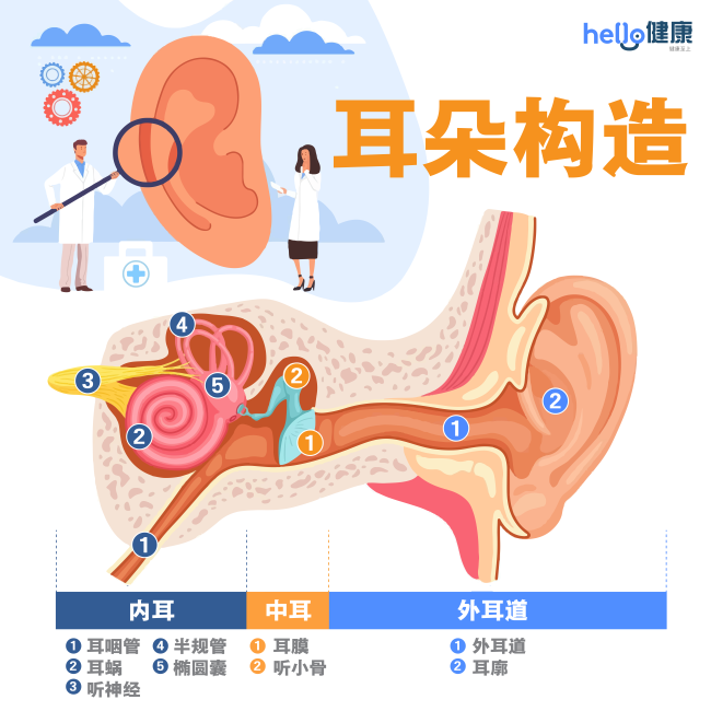 前庭神经炎多久会好?晕眩原因、治疗及饮食重点一次看