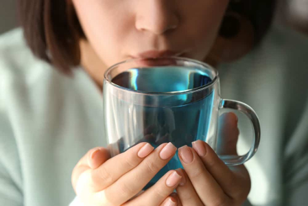 蝶豆花是什么？泡法、功效与禁忌完整解析
