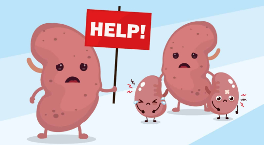 understanding-kidney-failure