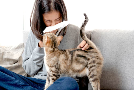 pet-care-tips-for-people-with-asthma