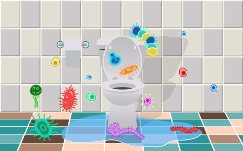 everyday-places-at-home-that-can-harbor-germs